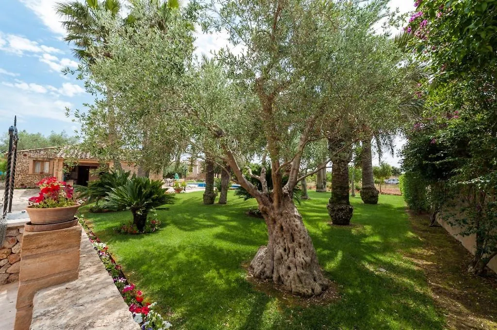 Villa Can Rovey Inca